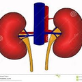 Especialistas Del Sistema Nervioso Y Columna Vertebral, A.C. en Aguascalientes